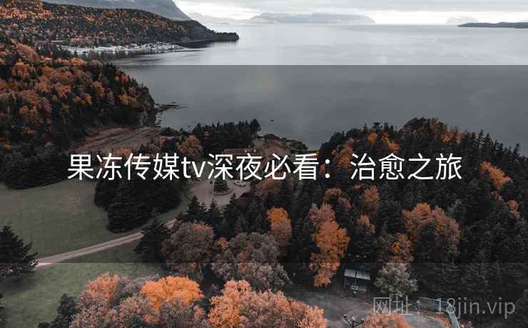果冻传媒tv深夜必看：治愈之旅